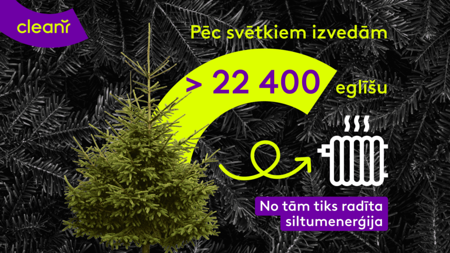 Pēc svētkiem izvestas 22 400 eglītes