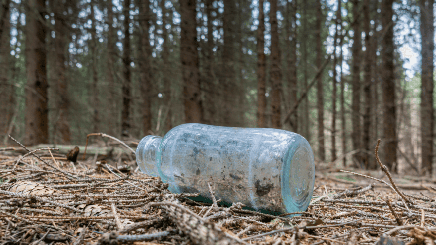 Stikla pudele mežā